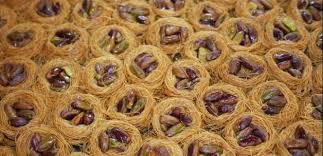 Halep Bülbül Yuvası